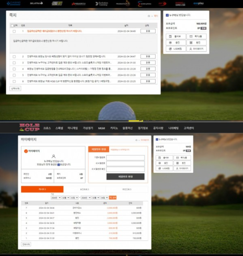 먹튀사이트-홀컵-인증사진2
